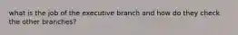 what is the job of the executive branch and how do they check the other branches?