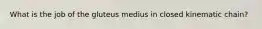 What is the job of the gluteus medius in closed kinematic chain?