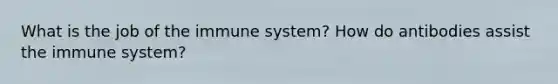 What is the job of the immune system? How do antibodies assist the immune system?