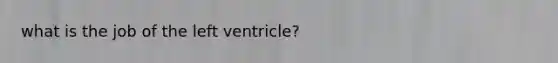 what is the job of the left ventricle?