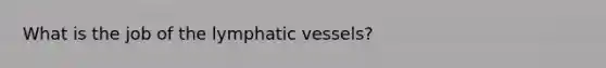 What is the job of the lymphatic vessels?