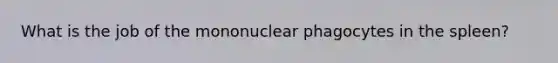 What is the job of the mononuclear phagocytes in the spleen?