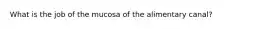 What is the job of the mucosa of the alimentary canal?