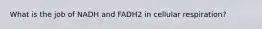 What is the job of NADH and FADH2 in cellular respiration?