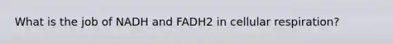 What is the job of NADH and FADH2 in cellular respiration?