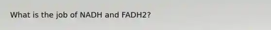 What is the job of NADH and FADH2?