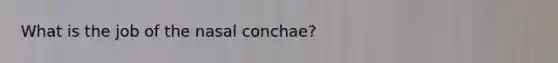 What is the job of the nasal conchae?