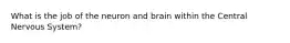 What is the job of the neuron and brain within the Central Nervous System?