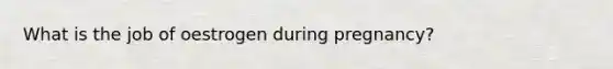 What is the job of oestrogen during pregnancy?