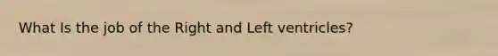 What Is the job of the Right and Left ventricles?
