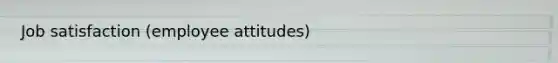 Job satisfaction (employee attitudes)