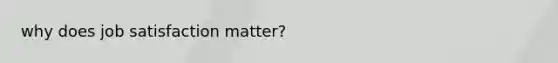 why does job satisfaction matter?