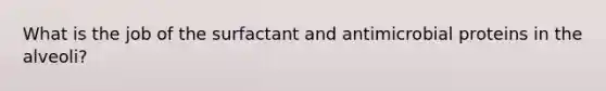 What is the job of the surfactant and antimicrobial proteins in the alveoli?