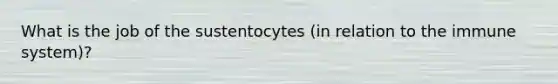 What is the job of the sustentocytes (in relation to the immune system)?