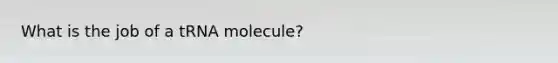 What is the job of a tRNA molecule?