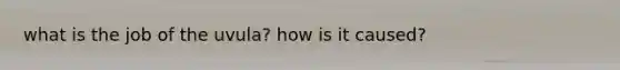 what is the job of the uvula? how is it caused?