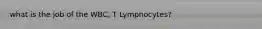 what is the job of the WBC, T Lymphocytes?