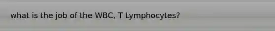 what is the job of the WBC, T Lymphocytes?