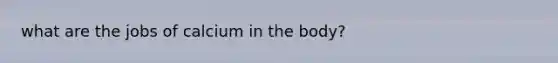 what are the jobs of calcium in the body?
