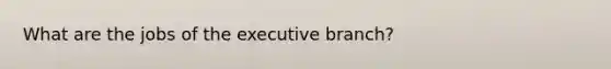 What are the jobs of the executive branch?