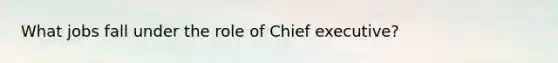 What jobs fall under the role of Chief executive?