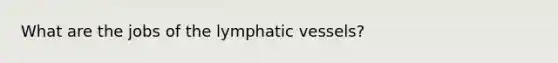 What are the jobs of the lymphatic vessels?