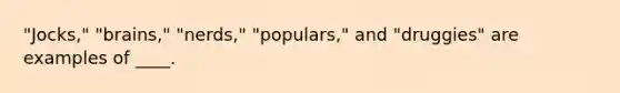 "Jocks," "brains," "nerds," "populars," and "druggies" are examples of ____.