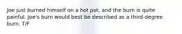 Joe just burned himself on a hot pot, and the burn is quite painful. Joe's burn would best be described as a third-degree burn. T/F