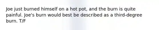 Joe just burned himself on a hot pot, and the burn is quite painful. Joe's burn would best be described as a third-degree burn. T/F