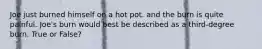 Joe just burned himself on a hot pot. and the burn is quite painful. Joe's burn would best be described as a third-degree burn. True or False?