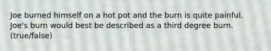 Joe burned himself on a hot pot and the burn is quite painful. Joe's burn would best be described as a third degree burn. (true/false)