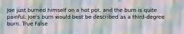 Joe just burned himself on a hot pot. and the burn is quite painful. Joe's burn would best be described as a third-degree burn. True False