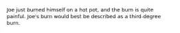 Joe just burned himself on a hot pot, and the burn is quite painful. Joe's burn would best be described as a third-degree burn.
