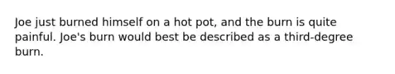 Joe just burned himself on a hot pot, and the burn is quite painful. Joe's burn would best be described as a third-degree burn.