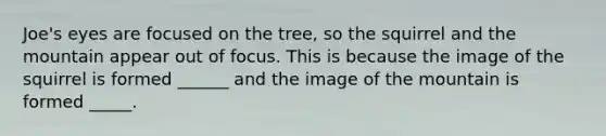 Joe's eyes are focused on the tree, so the squirrel and the mountain appear out of focus. This is because the image of the squirrel is formed ______ and the image of the mountain is formed _____.