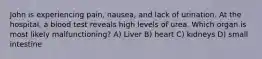 John is experiencing pain, nausea, and lack of urination. At the hospital, a blood test reveals high levels of urea. Which organ is most likely malfunctioning? A) Liver B) heart C) kidneys D) small intestine