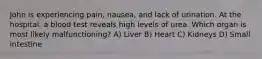 John is experiencing pain, nausea, and lack of urination. At the hospital, a blood test reveals high levels of urea. Which organ is most likely malfunctioning? A) Liver B) Heart C) Kidneys D) Small intestine