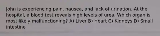 John is experiencing pain, nausea, and lack of urination. At the hospital, a blood test reveals high levels of urea. Which organ is most likely malfunctioning? A) Liver B) Heart C) Kidneys D) Small intestine