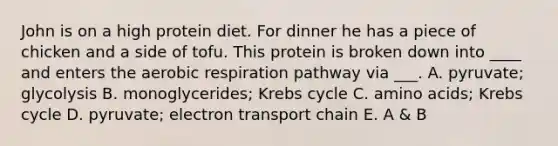 John is on a high protein diet. For dinner he has a piece of chicken and a side of tofu. This protein is broken down into ____ and enters the <a href='https://www.questionai.com/knowledge/kyxGdbadrV-aerobic-respiration' class='anchor-knowledge'>aerobic respiration</a> pathway via ___. A. pyruvate; glycolysis B. monoglycerides; <a href='https://www.questionai.com/knowledge/kqfW58SNl2-krebs-cycle' class='anchor-knowledge'>krebs cycle</a> C. <a href='https://www.questionai.com/knowledge/k9gb720LCl-amino-acids' class='anchor-knowledge'>amino acids</a>; Krebs cycle D. pyruvate; electron transport chain E. A & B