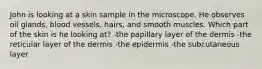 John is looking at a skin sample in the microscope. He observes oil glands, blood vessels, hairs, and smooth muscles. Which part of the skin is he looking at? -the papillary layer of the dermis -the reticular layer of the dermis -the epidermis -the subcutaneous layer