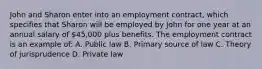 John and Sharon enter into an employment contract, which specifies that Sharon will be employed by John for one year at an annual salary of 45,000 plus benefits. The employment contract is an example of: A. Public law B. Primary source of law C. Theory of jurisprudence D. Private law