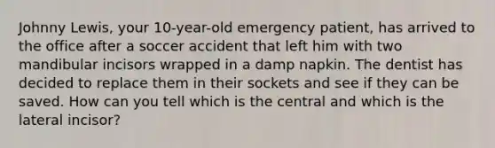 Johnny Lewis, your 10-year-old emergency patient, has arrived to the office after a soccer accident that left him with two mandibular incisors wrapped in a damp napkin. The dentist has decided to replace them in their sockets and see if they can be saved. How can you tell which is the central and which is the lateral incisor?