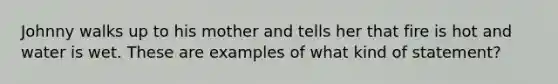 Johnny walks up to his mother and tells her that fire is hot and water is wet. These are examples of what kind of statement?