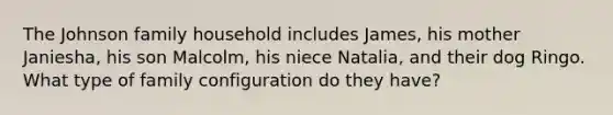 The Johnson family household includes James, his mother Janiesha, his son Malcolm, his niece Natalia, and their dog Ringo. What type of family configuration do they have?