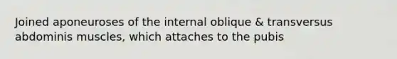 Joined aponeuroses of the internal oblique & transversus abdominis muscles, which attaches to the pubis