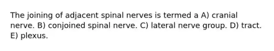 The joining of adjacent spinal nerves is termed a A) cranial nerve. B) conjoined spinal nerve. C) lateral nerve group. D) tract. E) plexus.