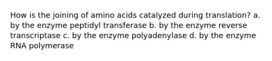 How is the joining of <a href='https://www.questionai.com/knowledge/k9gb720LCl-amino-acids' class='anchor-knowledge'>amino acids</a> catalyzed during translation? a. by the enzyme peptidyl transferase b. by the enzyme reverse transcriptase c. by the enzyme polyadenylase d. by the enzyme RNA polymerase