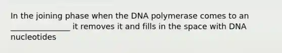 In the joining phase when the DNA polymerase comes to an _______________ it removes it and fills in the space with DNA nucleotides