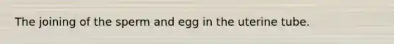 The joining of the sperm and egg in the uterine tube.