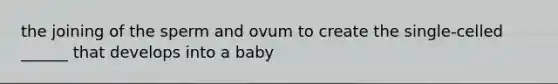 the joining of the sperm and ovum to create the single-celled ______ that develops into a baby